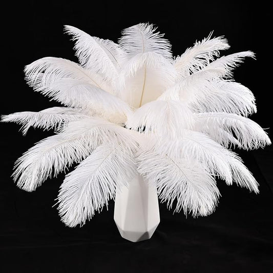 THARAHT White Ostrich Feathers 12pcs Natural Bulk 10-12Inch 25cm-30cm for Crafts Wedding Party Centerpieces Easter Gatsbi and Christmas Tree Decoration Feathers-Ruum Studio Home