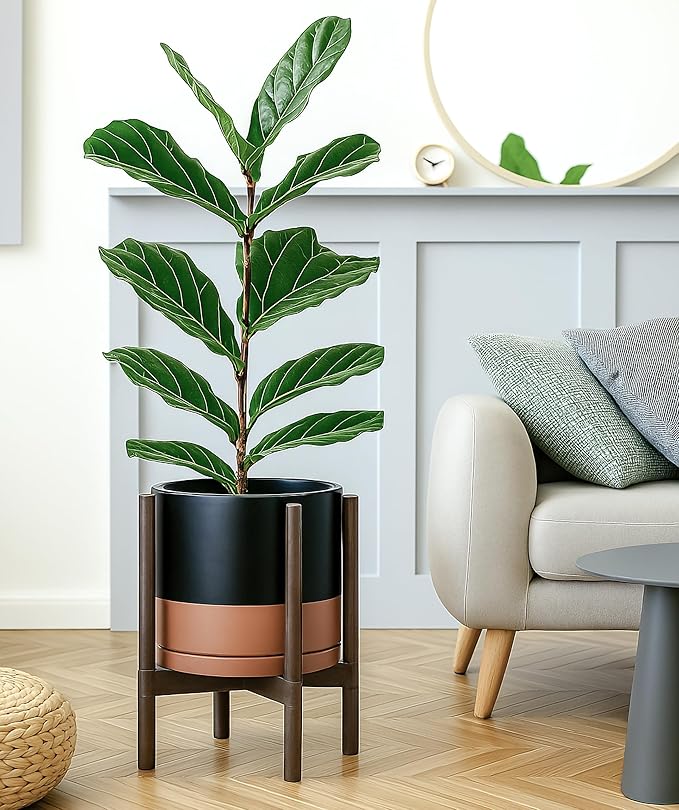 D'vine Dev Ceramic Planter with Walnut Color Stand - 12 Inch Modern Round Flower Pot with Wood Planter Holder, Black/Speckled Tan, 55-B-W-7-Ruum Studio Home