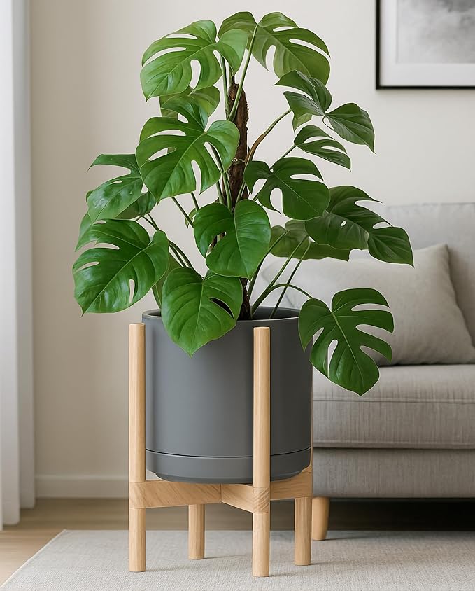 D'vine Dev Ceramic Planter with Natural Stand - 12 Inch Modern Round Flower Pot with Wood Planter Holder, Grey, 55-B-J-3-Ruum Studio Home