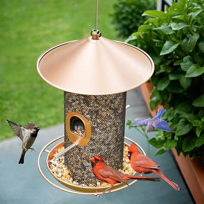 Bird Feeder for Outdoor, Metal Wild Bird Feeder Hanging Outside, 7.5" Copper Roof and 360 Degree Feeding Tray with 2 Extra Feeding Ports, 3 Lbs Bird Seeds Capacity-Ruum Studio Home