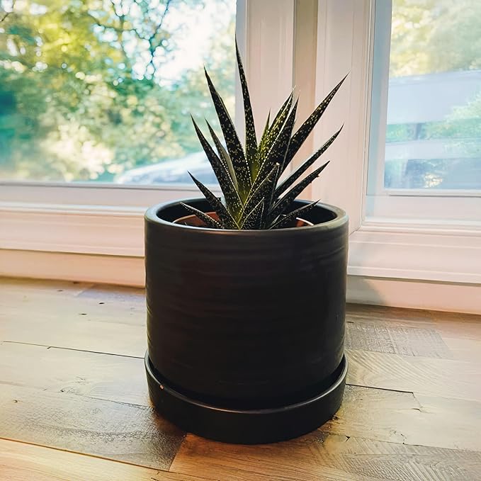 6 Inch Plant Pots, Ceramic Planter Pot with Drainage Hole & Saucer, Indoor/Outdoor Cylinder Round Planter Pot, Matte Black-Ruum Studio Home