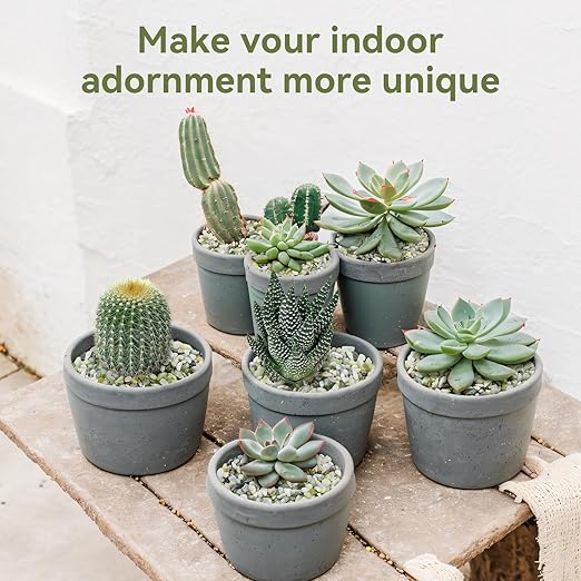 2.5LB Succulent and Cactus Pebbles, 1/5 Inch Jade Pebbles for Indoor Plants, Decorative Gravel for Vases, Bamboo, Succulent, Terrarium, Crafts, Cactus-Ruum Studio Home