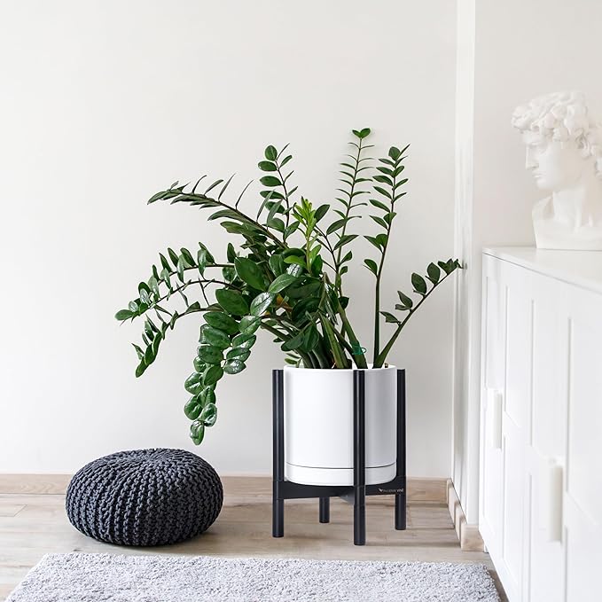 D'vine Dev Ceramic Planter with Ebony Stand - 12 Inch Modern Round Flower Pot with Wood Planter Holder, White, 55-B-H-1-Ruum Studio Home