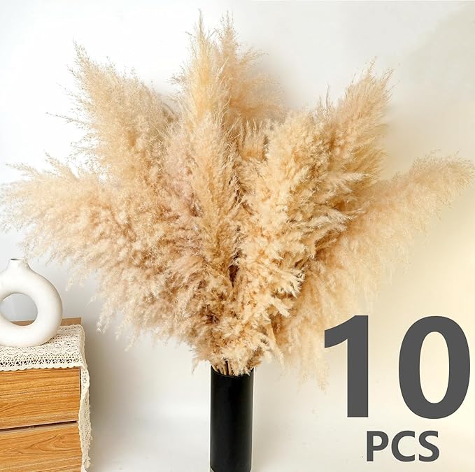 10 PCS 40" Tall Pampas Grass Stems in Natural Beige, Add a Boho Touch to Your Space—Pompas Grass Ideal for Floral Arrangements, Floor Vases, Weddings, and Creating a Bohemian Ambiance at Home.-Ruum Studio Home