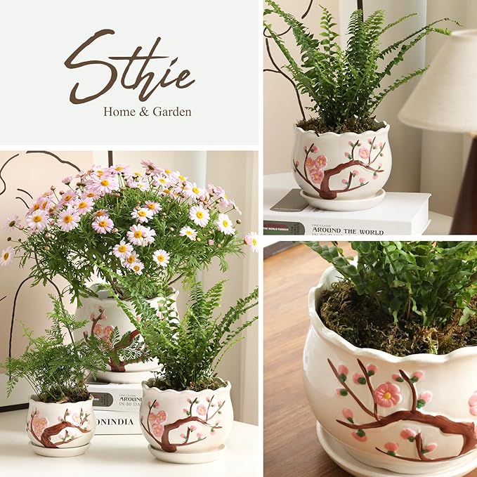 Ceramic Plant Pots with Drainage Holes and Saucers, Round Flower Pots for Indoor Plant, 3.9/5.2/6.7 Inches Small Flower Planters Set of 3-Ruum Studio Home