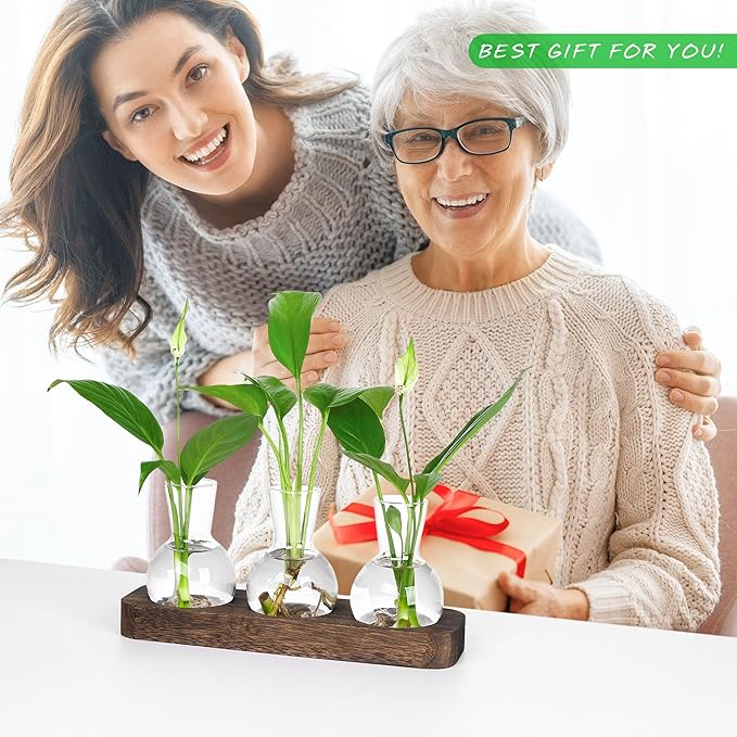 YIBOT Propagation Stations,Plant Propagation Vase,Desk Plant Terrarium with Retro Wooden Stand,Plant Lover Gifts for Women for Hydroponics Plants Home Garden Wedding Decor(3 Vase)-Ruum Studio Home