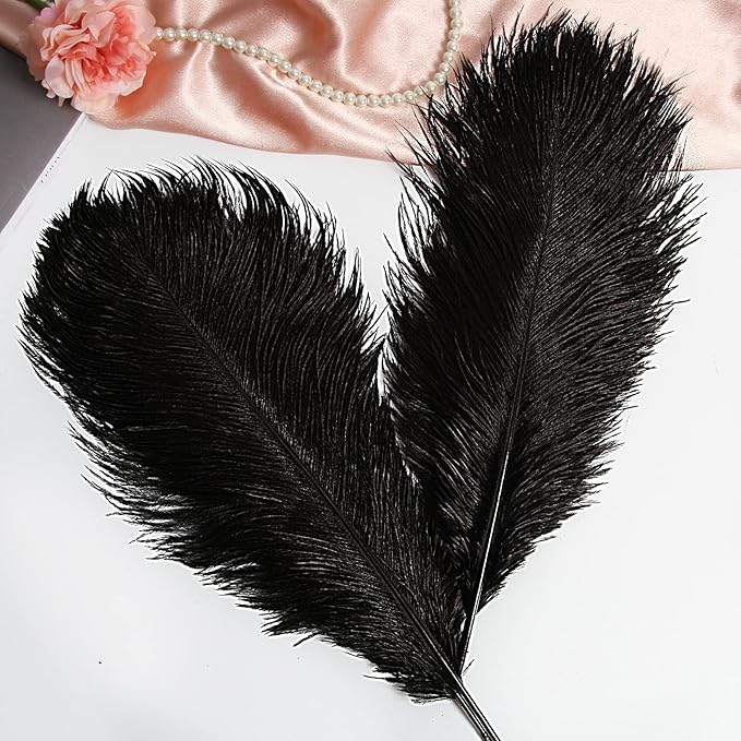 THARAHT Black Ostrich Feathers 12pcs Large Natural Bulk 14-16Inch 35cm-40cm for Wedding Party Centerpieces Halloween and Home Decoration Feathers-Ruum Studio Home