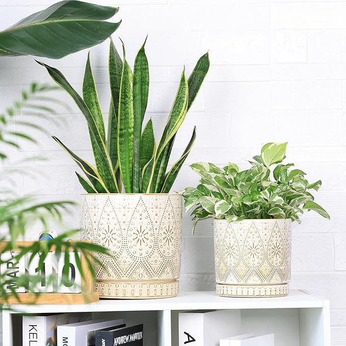 8 Inch + 6 Inch Indoor Plant Pot with Drainage Holes and Saucers, Ceramic Planter for Plants, Succulent Orchid Flower Pots-Ruum Studio Home