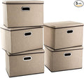 PRANDOM Extra Large Collapsible Storage Bins with Lids [5-Pack] Linen Fabric Foldable Storage Baskets Boxes Organizer Containers Cube with Cover for Bedroom Closet Office Nursery (22.8x15.75x13.8)-Ruum Studio Home