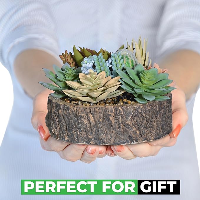Premium Assorted Artificial Succulent Collection - Large Real Touch Artificial Cactus, Aloe Vera & Succulent Plants Artificial with Pots for Home Office Indoor (Artificial Tree Stump - Pot)-Ruum Studio Home