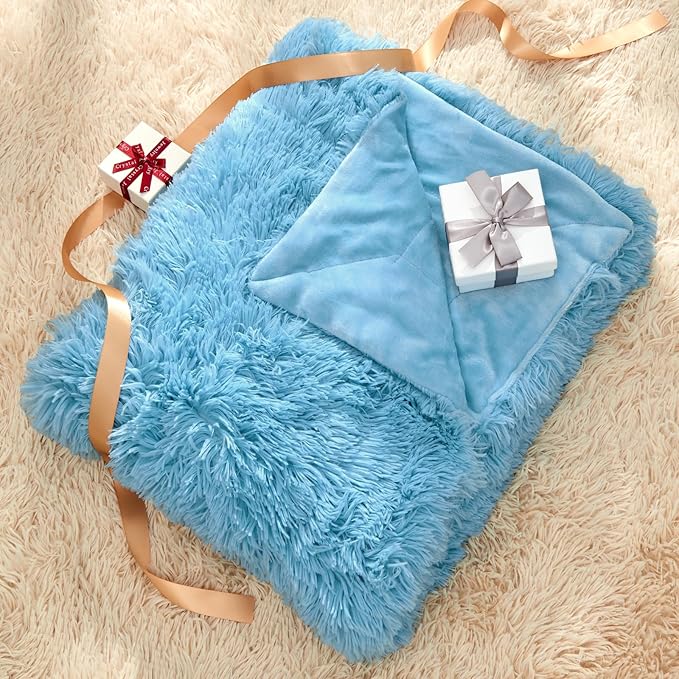 GONAAP Fuzzy Faux Fur Throw Blanket Twin Size Sky Blue Super Soft Cozy Plush Fuzzy Shaggy Blanket for Couch Sofa Bed (Sky Blue, Twin(60"x80"))-Ruum Studio Home