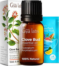 Gya Labs Clove Essential Oil for Teeth & Gums - 0.34 Fl Oz - 100% Pure Natural Clove Oil for Oral Care, Hair, Skin & Candle Making Scent-Ruum Studio Home