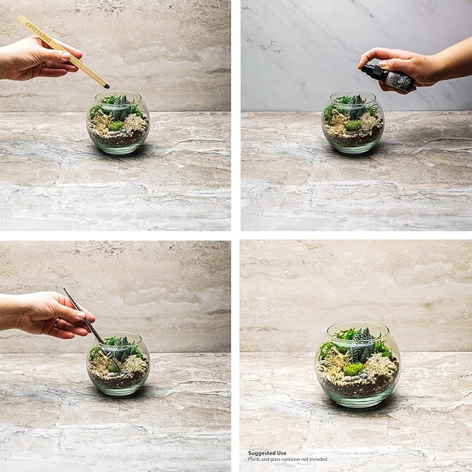 Cute Farms Terrarium Starter Kit | Moss, Vermiculite, Soil, Pebbles, Plant Food, Finishing Tools, Build and Care Guide | DIY Succulent Terrarium for Adults and Kids (Large + Live Plants)-Ruum Studio Home