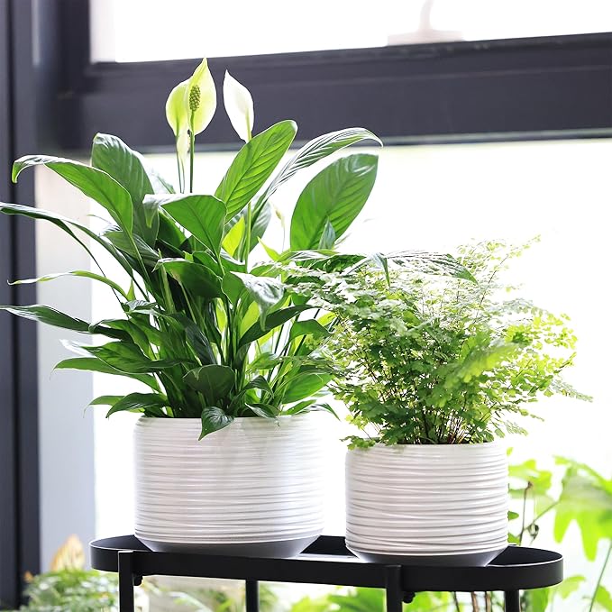 8 Inch + 6 Inch Ceramic Plant Pots Indoor with Drainage – Flower Pot Set, Decorative Indoor Planters for House Plants and Garden Use-Ruum Studio Home
