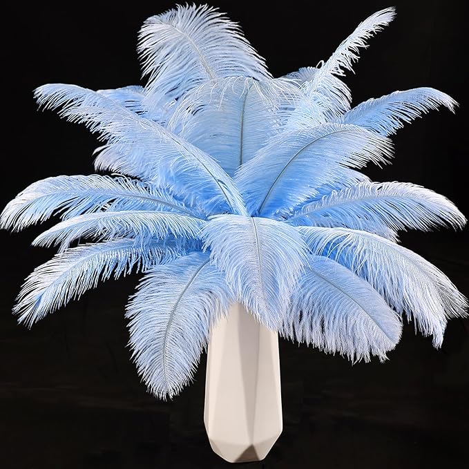 THARAHT Baby Blue Ostrich Feathers 24pcs Natural Bulk 10-12Inch 25cm-30cm for Crafts Wedding Party Centerpieces Easter Gatsbi and Home Decoration Feathers-Ruum Studio Home