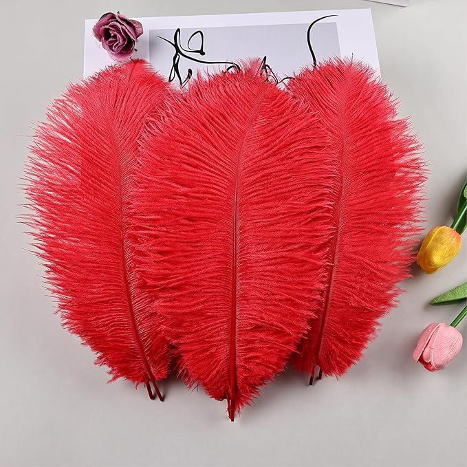 THARAHT Red Ostrich Feathers 12pcs Natural Bulk 8-10Inch 20cm-25cm for Crafts Wedding Party Centerpieces Flower Arrangement Halloween and Home Decoration Feathers-Ruum Studio Home