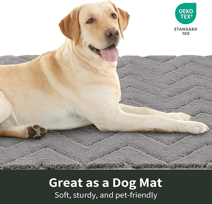 Stiio Front Door Mat Indoor Outdoor Entrance 20x31.5 Inches, Non Slip Washable Entry Rug, Dog Doormat, Absorbent Entrance Mat for Front & Back Door, Muddy Wet Shoes & Paws, Grey-Ruum Studio Home
