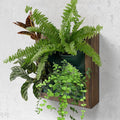 Vertical Wall Planter, 4 Pots Self Watering Living Planters Indoor, Wooden Frame Planter Wall Decoration Home Office (No Screw)-Ruum Studio Home