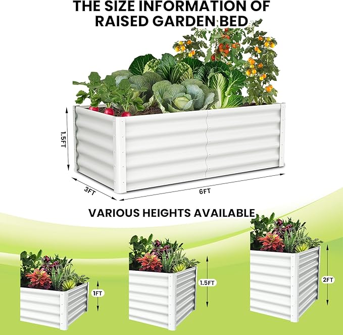 Galvanized Raised Garden Bed Outdoor, 2 Pcs 6x3x1.5FT Outdoor Large Planter Raised Beds Open Base with Safety Edge and Glove for Vegetables Flowers Ground Planter, White-Ruum Studio Home