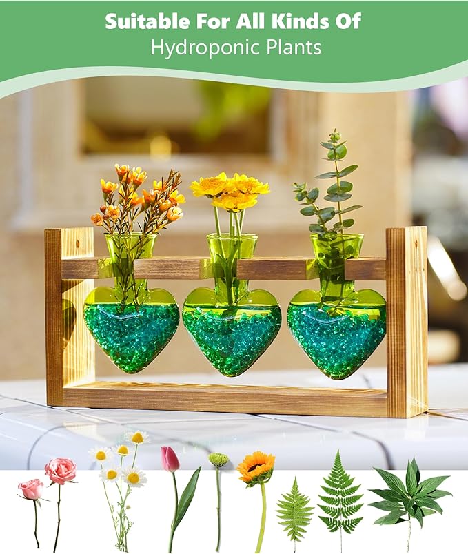 Nacome Plant Terrarium for Office Decor: Birthday Gifts for Plant Lovers Women Mom Wife - Wooden Stand Tabletop Planter 3 Bulb Glass Vase Heart Shaped for Hydroponics Indoor Home(Green)-Ruum Studio Home