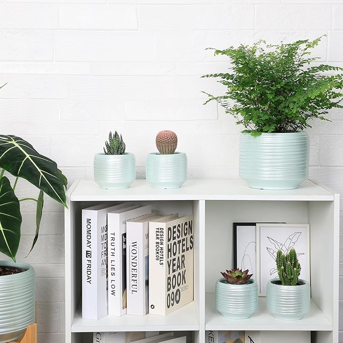 Mini Succulent Planter Set – 3.7 Inch Ceramic Pots with Drainage for Indoor Plants, Small Decorative Flower Pots for Cactus and House Plants, Set of 4-Ruum Studio Home