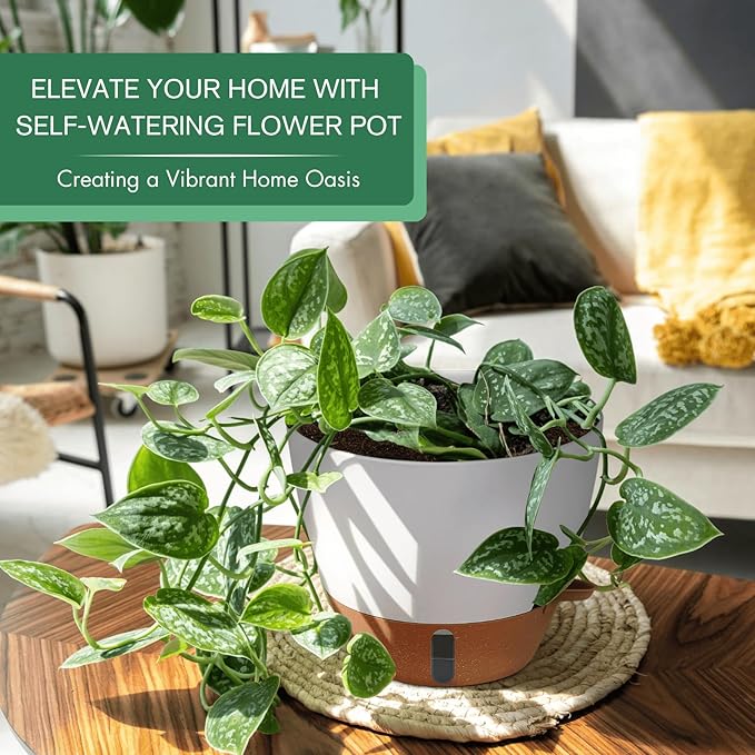 montresor 2 Pack 8 inch Plant Pots, PP Plastic Self Watering Plant Pot with Drainage and Tray for Indoor Outdoor Plants, Water Level Window & Reservoir Flower Pots Decorative Planter(White)-Ruum Studio Home
