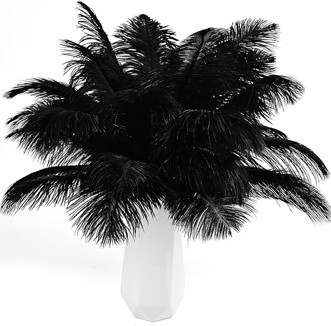 THARAHT Black Ostrich Feathers 12pcs Natural Bulk 8-10Inch 20cm-25cm for Crafts Wedding Party Centerpieces Halloween and Home Decoration Feathers-Ruum Studio Home
