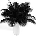 THARAHT Black Ostrich Feathers 12pcs Natural Bulk 10-12Inch 25cm-30cm for Crafts Wedding Party Centerpieces Halloween and Home Decoration Feathers-Ruum Studio Home