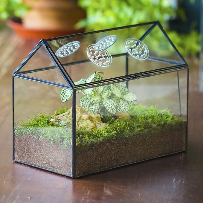 NCYP Glass Terrarium with Lid and Air Holes for Snails, Succulents Plants, Small Cactus - 10.2" x 5.9" x 8.2" House Shape Geometric Clear Box, Indoor Tabletop Decor Black (Terrarium Only)-Ruum Studio Home