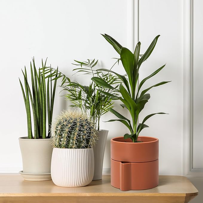 Phoenix Vine 6.5 Inch Self-Watering Planter Pot with Terracotta Insert, Deep Water Reservoir, and Ceramic-Alike BPA-Free Plastic Pot for Plant, Modern Planter for Houseplants, Terracotta, 53-A-S-3-Ruum Studio Home