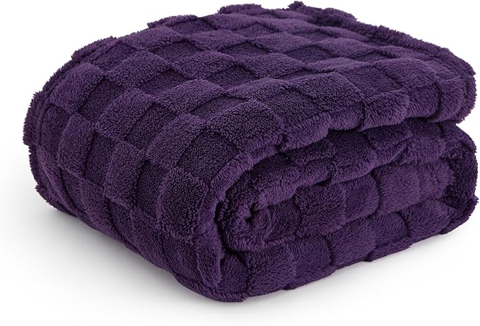 Bedsure GentleSoft Twin Blanket for Bed Purple - Super Soft Cozy Blankets for Women Men Girls, Cute Fuzzy Fleece Throws for Bedroom Couch, 60x80 Inches-Ruum Studio Home