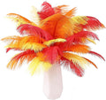 THARAHT Red Orange Yellow Ostrich Feathers 12pcs Natural Bulk 8-10Inch 20cm-25cm for Crafts Wedding Party Centerpieces Halloween and Home Decoration Feathers-Ruum Studio Home