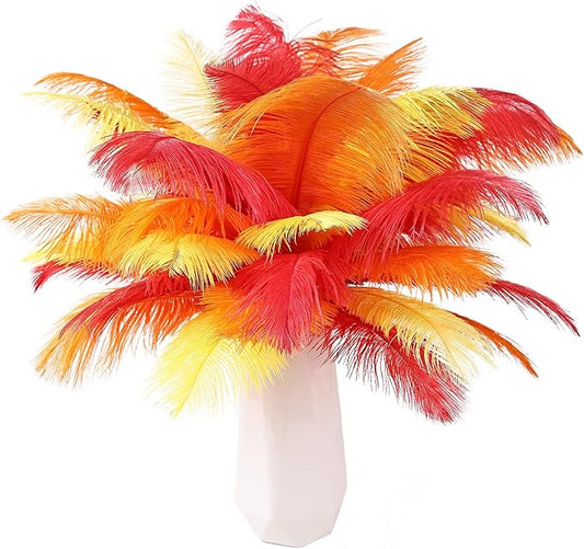 THARAHT Red Orange Yellow Ostrich Feathers 12pcs Natural Bulk 10-12Inch 25cm-30cm for Crafts Wedding Party Centerpieces Halloween and Home Decoration Feathers-Ruum Studio Home