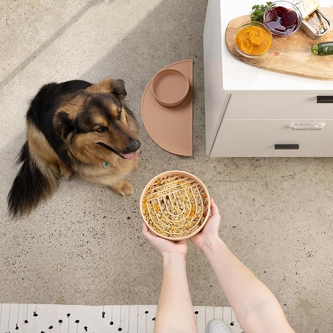 The Slowdown Bowl Silicone Slow Feeder for Dogs & Puppies, Slow Eating, Modern Lick Mat Design, Reduces Gulping, Fits 2.5 Cups 9.5” Across x 1.5” Tall, Mealtime Challenge, Large-Spruce-Ruum Studio Home