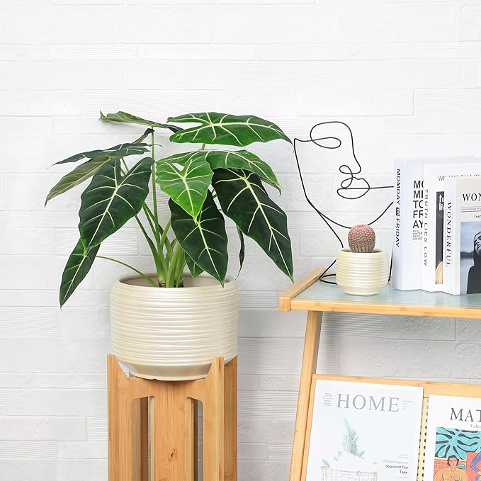 10 Inch Ceramic Plant Pot with Drainage – Large Flower Pot for Indoor Outdoor Plants, Modern Decorative Planter for Patio, Balcony, Garden, or Home Decor-Ruum Studio Home