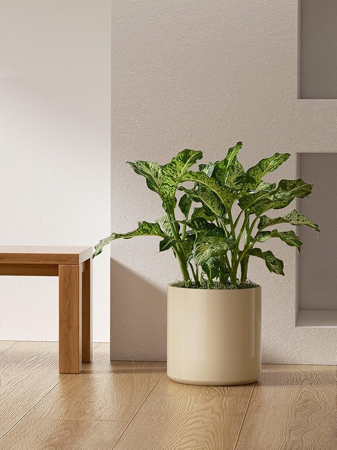 LE TAUCI 12 Inch Pots for Plants, Ceramic Large Plant Pot for Indoor Plants, Mid-Century Modern Flower Planter Pots with Drainage Hole and Removable Plug, Round Planter Pot, Reactive Glaze Cloud Cream-Ruum Studio Home