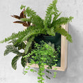 Vertical Wall Planter, 4 Pots Self Watering Living Planters Indoor, Wooden Frame Planter Wall Decoration Home Office (No Screw)-Ruum Studio Home