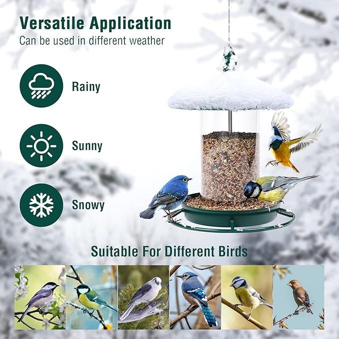 Pack of 2 Bird Feeder for Outdoor Hanging. Green-Ruum Studio Home