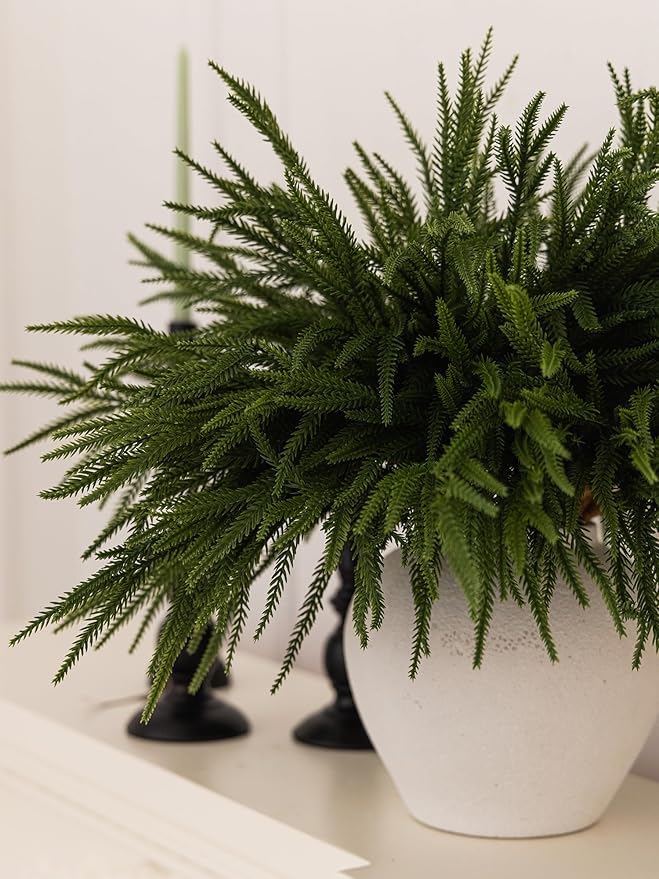 MISSPIN 12 Pcs 21.5 Inches Christmas Norfolk Pine Branches, Norfolk Pine Artificial Christmas Branches DIY Crafts Faux Pine Branches for Xmas Indoor Outdoor Home Decor-Ruum Studio Home