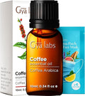 Gya Labs Coffee Essential Oil for Diffusers - 0.34 Fl Oz - 100% Pure Natural Coffee Oil for Hair, Skin, Aromatherapy Fragrance Bath Bombs, Spray & Candle Making Scent-Ruum Studio Home