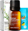 Gya Labs Roman Chamomile Essential Oil for Diffuser - 0.34 Fl Oz - 100% Pure Natural Roman Chamomile Oil for Skin, Hair, Face, Aromatherapy & Candle Making Scent-Ruum Studio Home