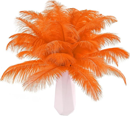 THARAHT Orange Ostrich Feathers 24pcs Natural Bulk 10-12Inch 25cm-30cm for Crafts Wedding Party Centerpieces Halloween and Home Decoration Feathers-Ruum Studio Home