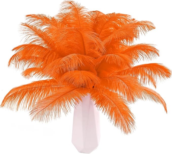 THARAHT Orange Ostrich Feathers 24pcs Natural Bulk 8-10Inch 20cm-25cm for Crafts Wedding Party Centerpieces Halloween and Home Decoration Feathers-Ruum Studio Home