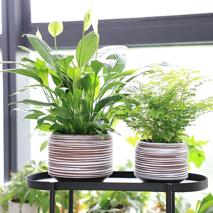 8 Inch + 6 Inch Ceramic Plant Pots Indoor with Drainage – Flower Pot Set, Decorative Indoor Planters for House Plants and Garden Use-Ruum Studio Home