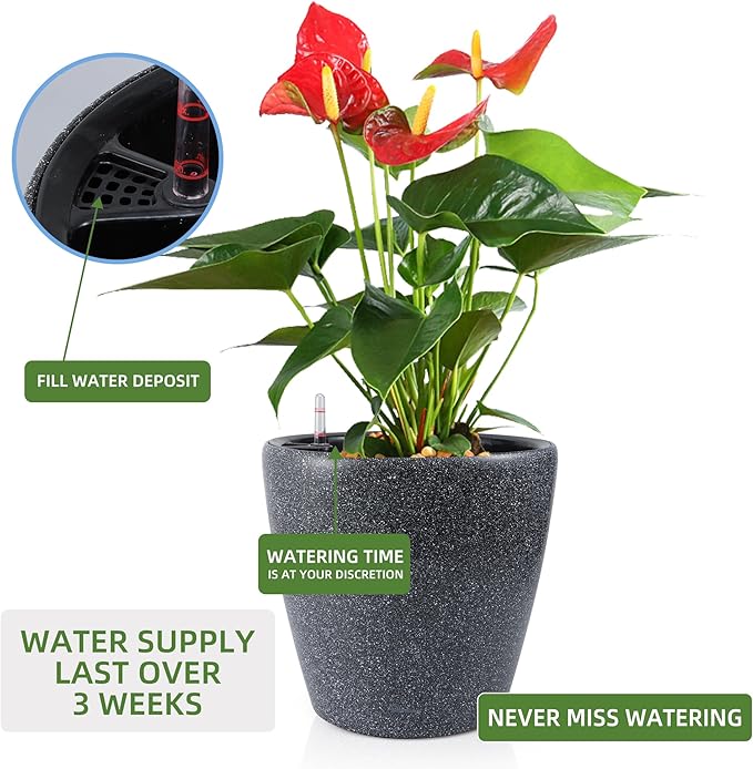 Dexceder 13x12 Self Watering Planter with Wheels Indoor Outdoor, Inner Pot Design, Thickened Large Floor Standing Flower Plant Pot with Water Level Indicator (Stone Matte)-Ruum Studio Home