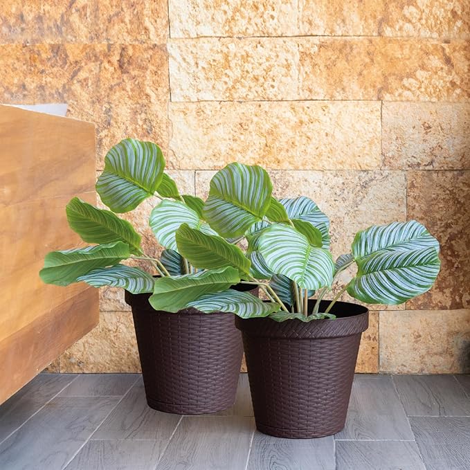 Elly Décor Set of 2 10 inch Round Saucer Modern Self Watering Planter Plates, Pots with Rattan-Like Finish, 10x10 chococlate Brown-Ruum Studio Home