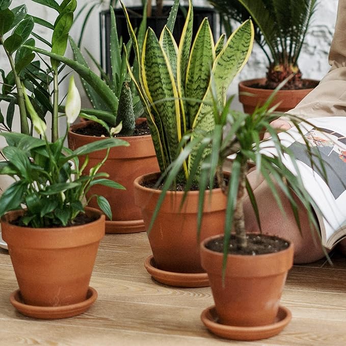 INGOFIN Terracotta Pots Set with Saucer - 2-Pack Ceramic Clay Planters with Drainage Hole, Garden Flower Succulent Pots with Tray for Indoor Outdoor Plants, 8 inch, Set of 2-Ruum Studio Home