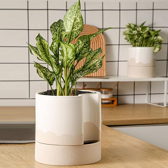 Nihow Self Watering Plant Pot: 8 Inch Ceramic Planter with Drainage Hole & Water Storage Plus for Indoor & Outdoor Plants - Cylinder Round Flower Pot for Succulent/Herbs/Violets - White & Wave Nature-Ruum Studio Home