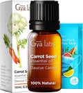 Gya Labs Carrot Seed Essential Oil - 0.34 Fl Oz - 100% Pure Natural Carrot Oil for Skincare, Hair, Scalp & Aromatherapy, Massages ,DIY ＆Candle Making Scent-Ruum Studio Home
