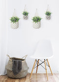 4PK Wall Planters for Indoor Plants, Macrame Plant Hanger | Wall Planter, Plant Hanger, Hanging Planter (2 Large + 2 Small)-Ruum Studio Home